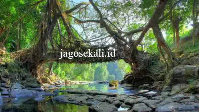 Tempat Wisata Alam di Tasikmalaya untuk Kamu Liburan
